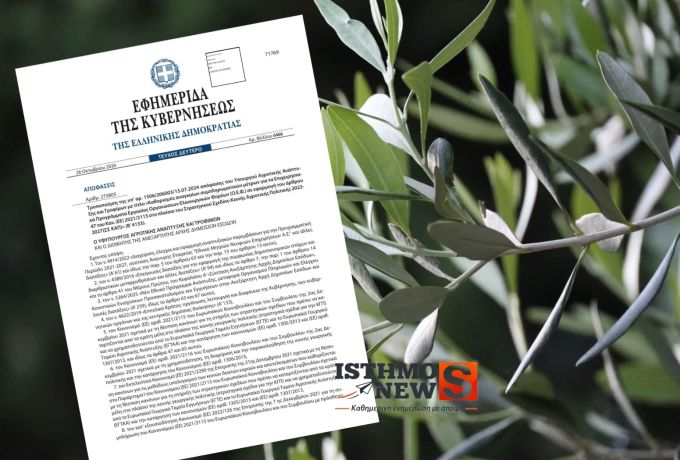 Γιάννης Ανδριανός: Διαφάνεια στη διαχείριση των ευρωπαϊκών πόρων και στήριξη της ελληνικής ελαιοκομίας